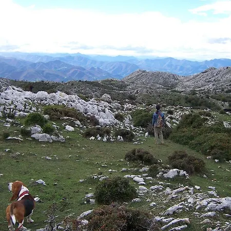 La Gloria Del Sueve Alea